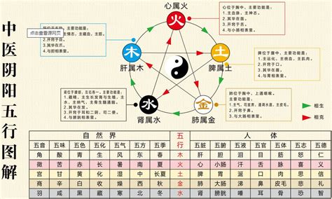 金的五行|五行具有哪些属性和特性？